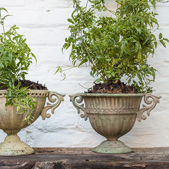 Aged Metal Planter, Round (£30.00). Image shows round planter with handles on a garden table, planted with new foliage.