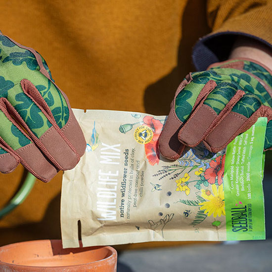 Seedball Wildlife Mix (£12.00). Image shows seedballs being tipped from their grab bag and planted, while model wears the National Trust Moss Oakleaf Gardening Gloves.