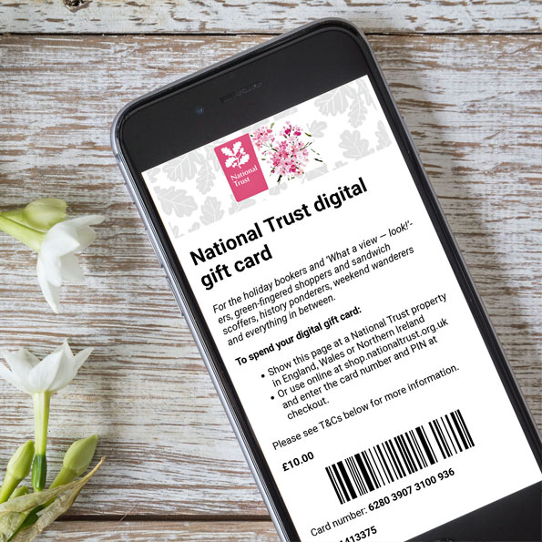 Unique Gifts & Unusual Presents Online National Trust Shop