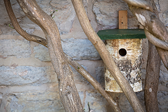 Birds & wildlife - image shows the Birch Log Nester nailed to a stone garden wall, protected by branches from a nearby tree.