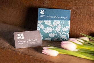 Give a National Trust gift card that can be redeemed online, in stores, in cafes and for admission. 