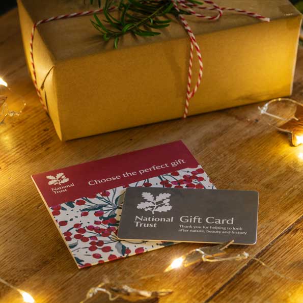 National Trust gift cards - image shows Winter Berry card design on a wooden table, lit by the warm glow of Christmas lights. Every purchase helps look afer National Trust places, 365 days a year.