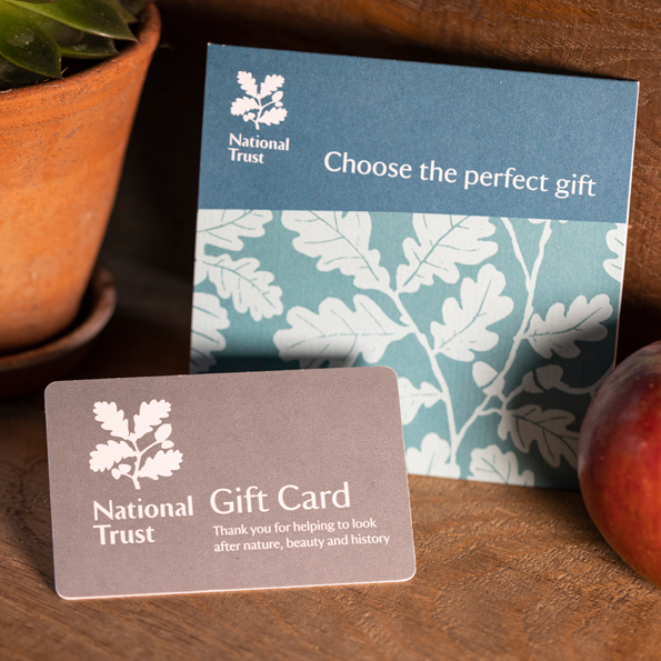 Unique Gifts & Unusual Presents Online | National Trust Shop