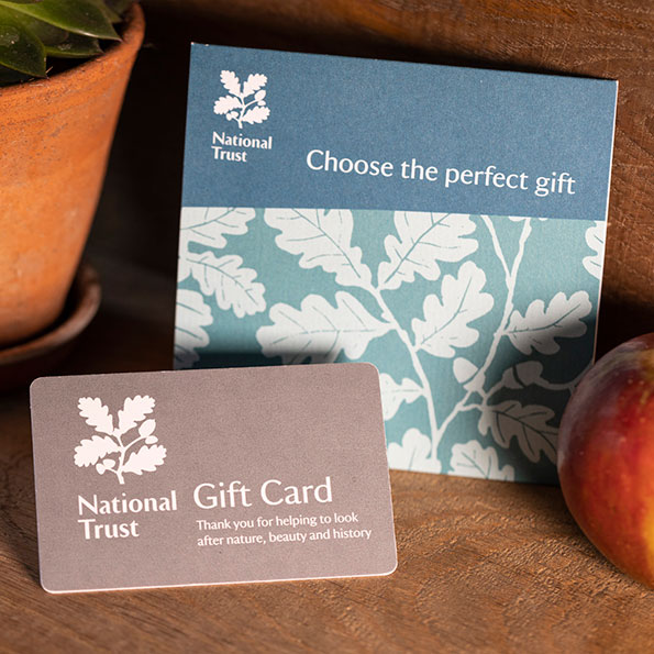 Thank you teacher - say thanks to great teachers with a National Trust gift card. Image shows a physical gift card in the Alfriston Clergy design on a windowsill next to an apple and potted plant.
